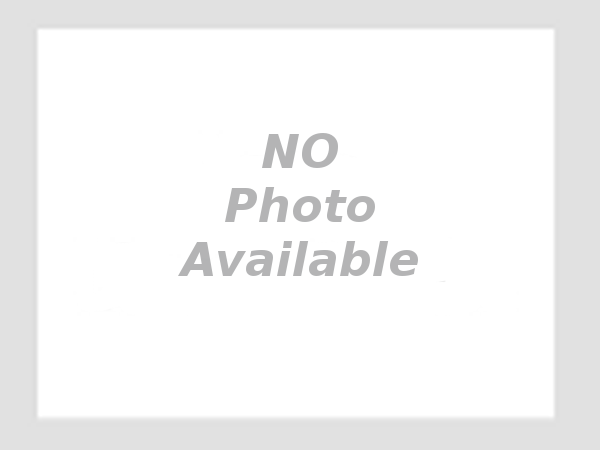 German Shepherds For Sale