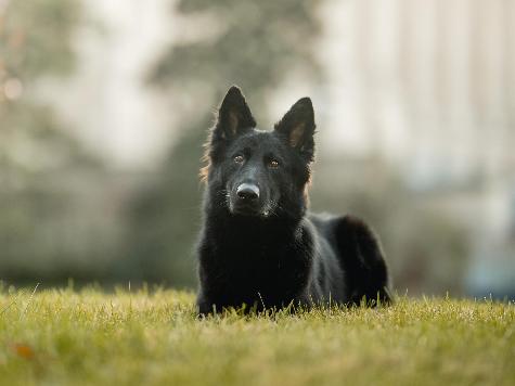 Kira von Prufenpuden Image