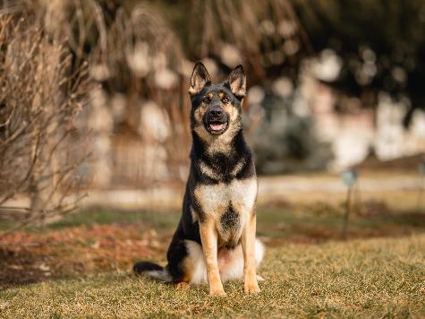 Pippa von Prufenpuden Image