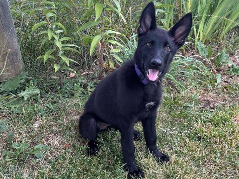 Nona von Prufenpuden Image