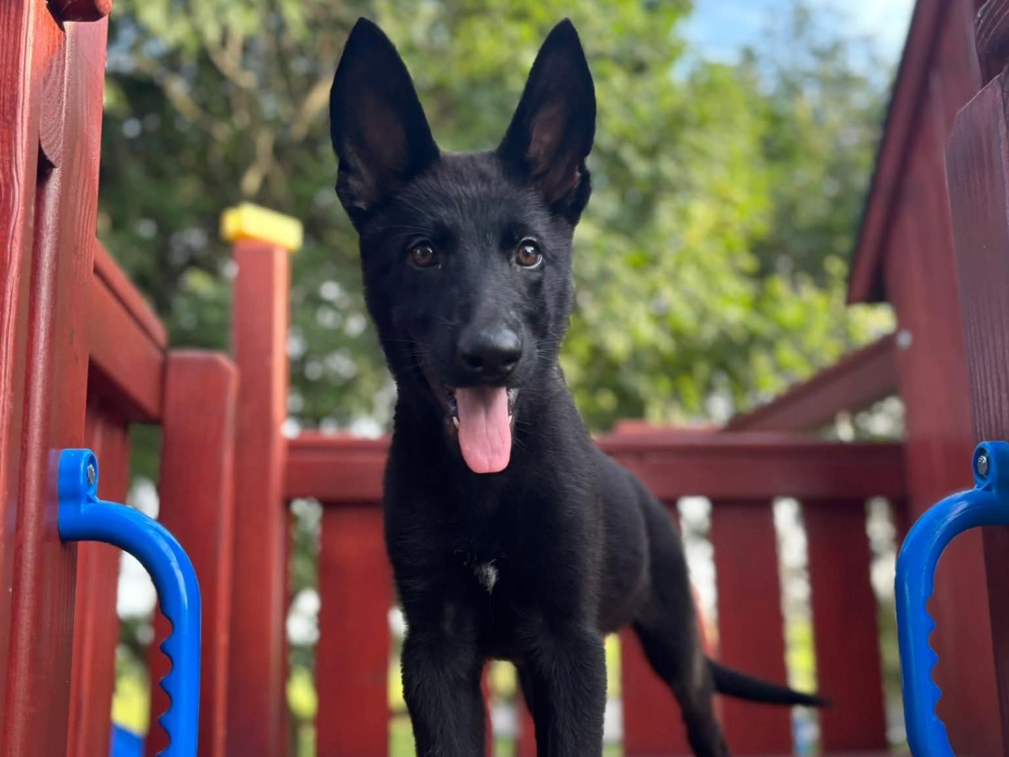 Nona von Prufenpuden Image