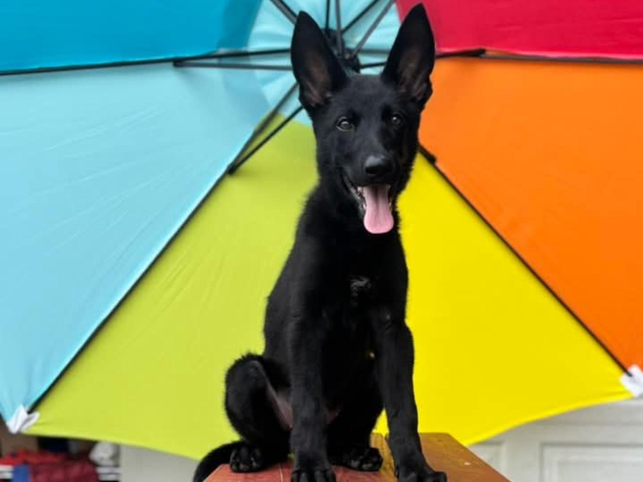 Nona von Prufenpuden Image