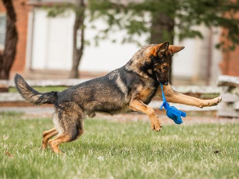 Yitro von Prufenpuden Image