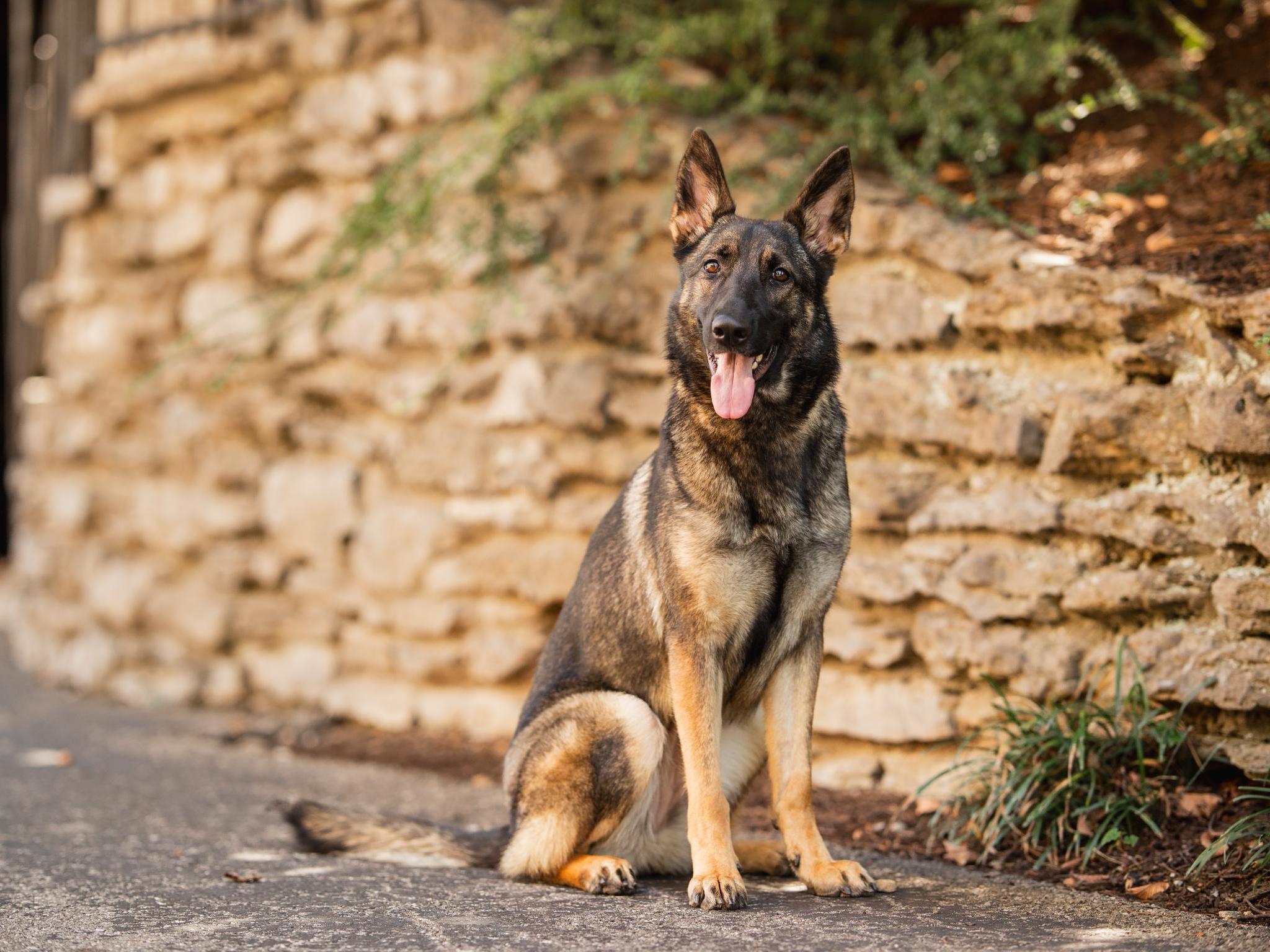 Yuba von Prufenpuden Image