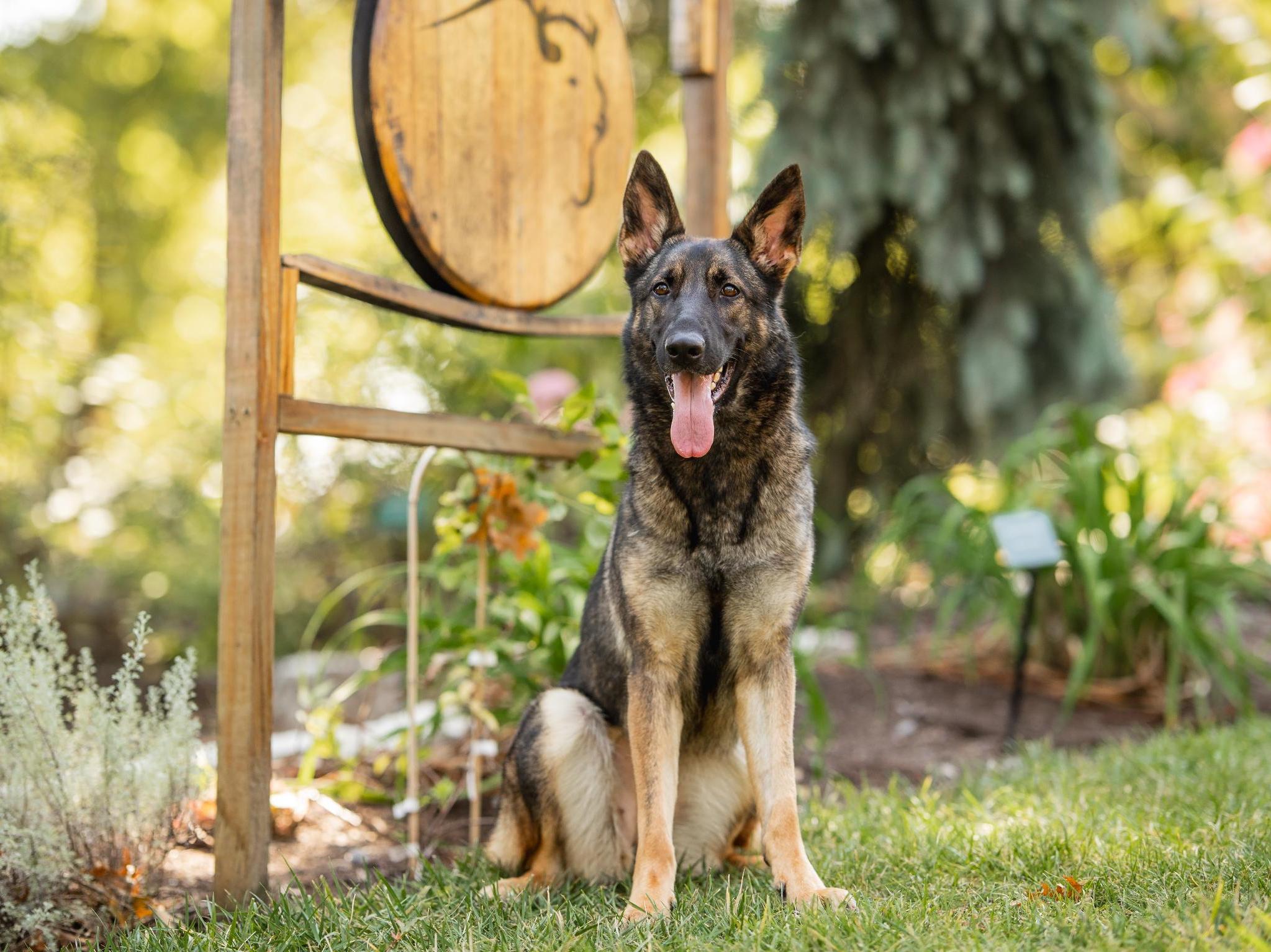 Yuba von Prufenpuden Image