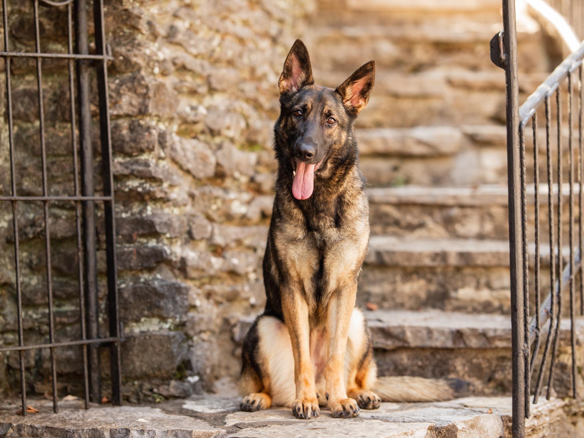 Yuba von Prufenpuden Image