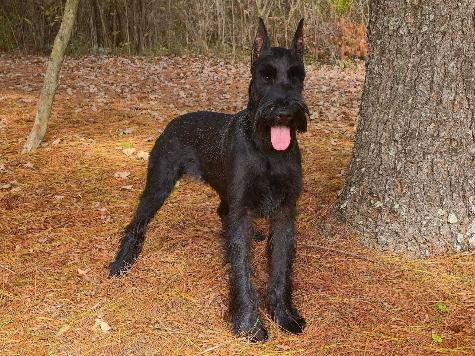 Maren von Prufenpuden Image