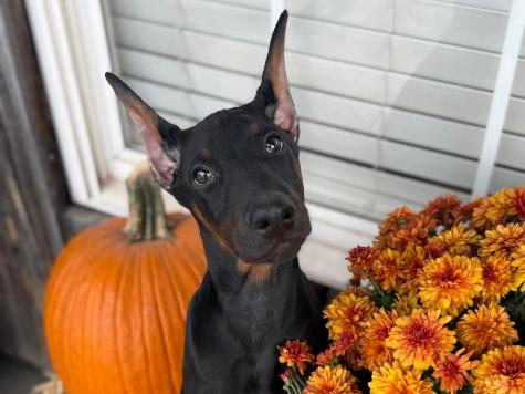 Wanda von Prufen Image