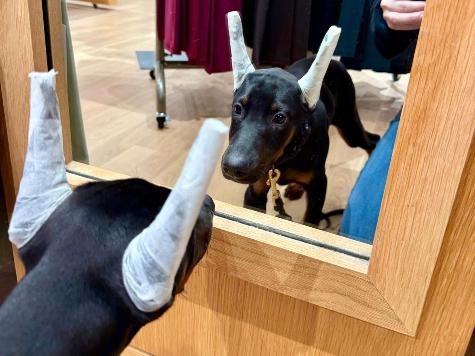 Wanda von Prufen Image