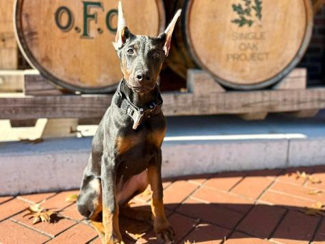 Wanda von Prufen Image