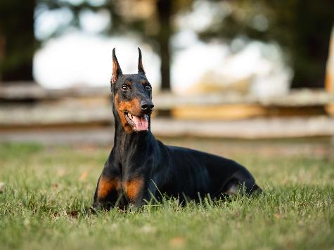 Mason von Prufen  Image