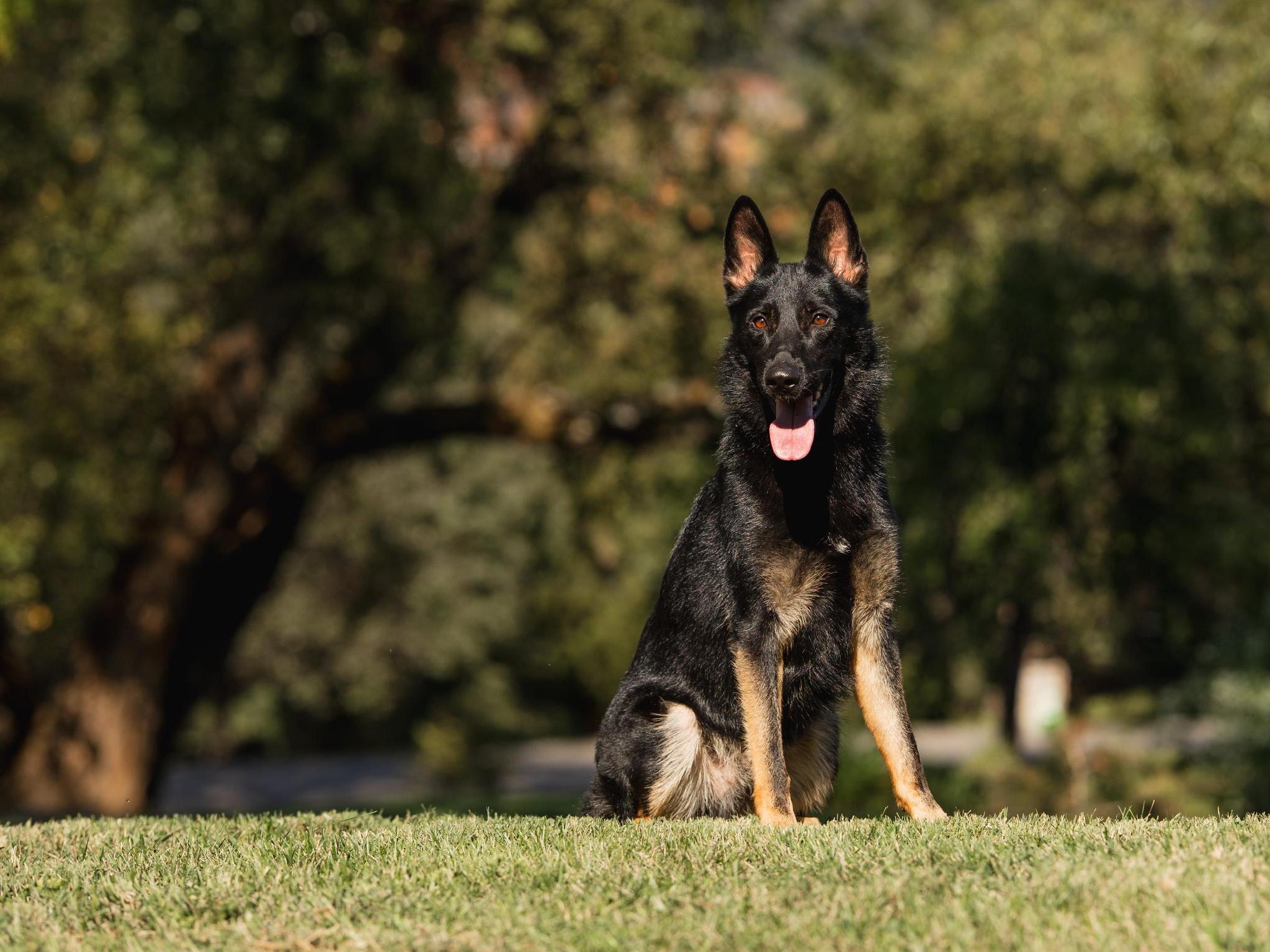 Zip von Prufenpuden Image