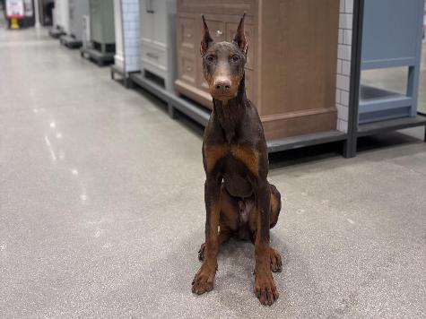 Hutch von Prufen Image