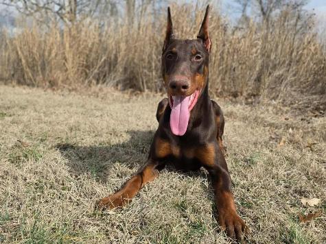 Hutch von Prufen Image