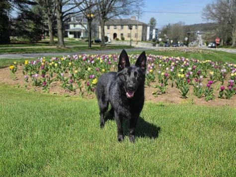Granby von Prufenpuden Image