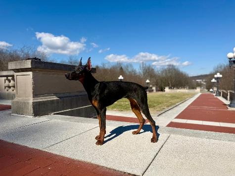 Wanda von Prufen Image