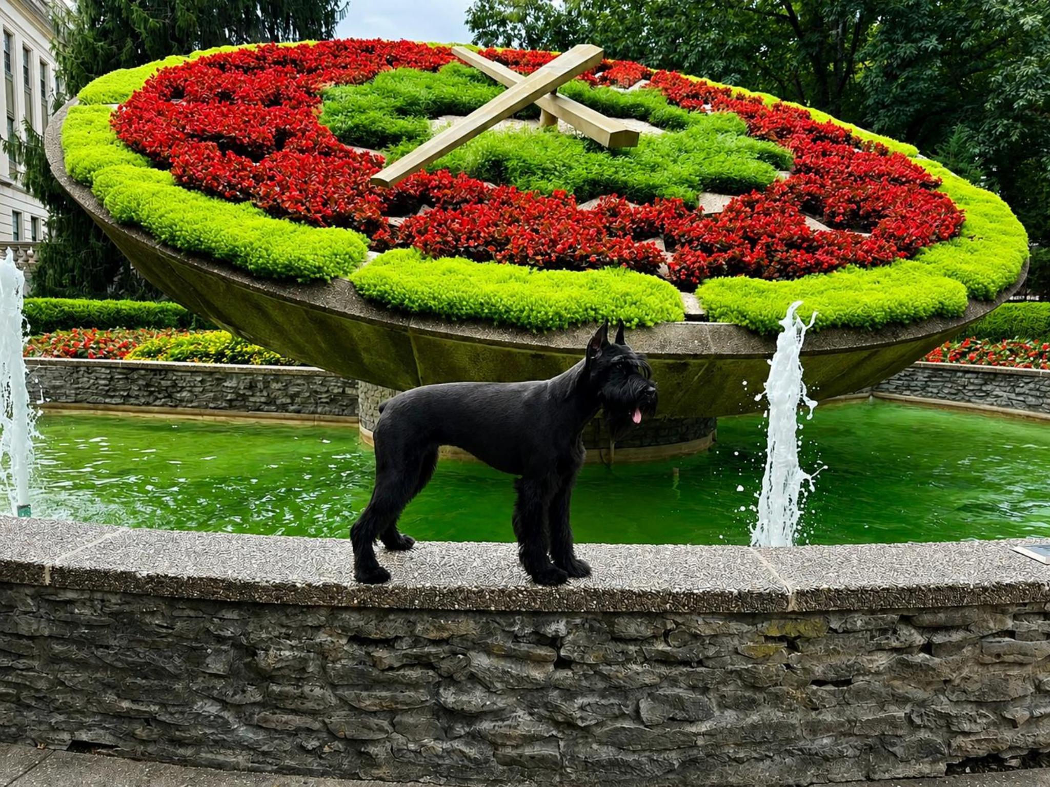 Aslan von Prufenpuden Image