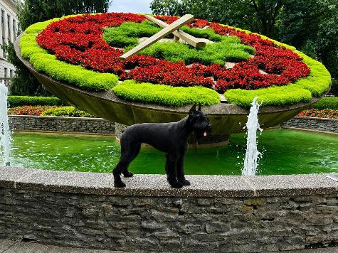 Aslan von Prufenpuden thumbnail
