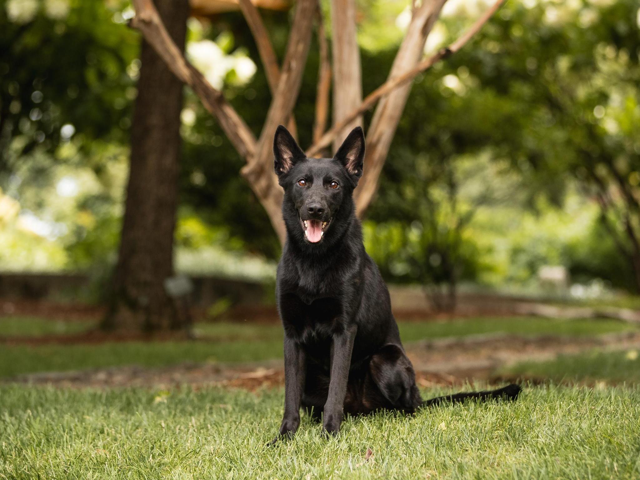 Darby von Prufenpuden Image