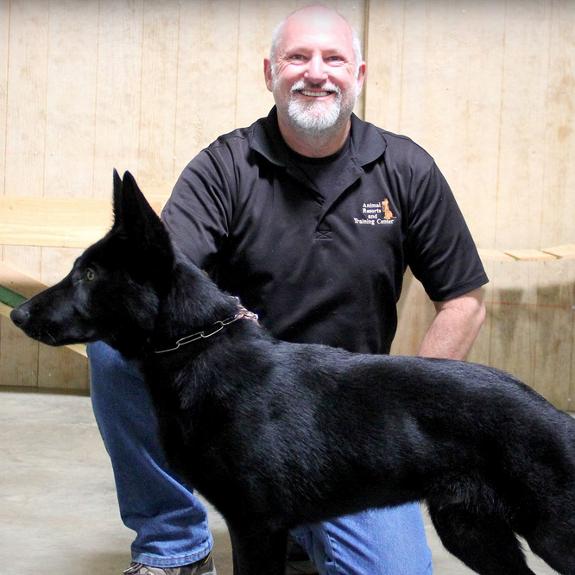 how to train a security guard dog