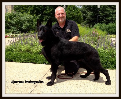 Ajax von Prufenpuden "Sold" Image