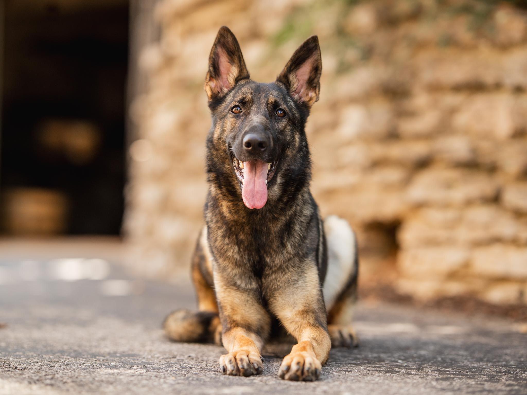 Yuba von Prufenpuden