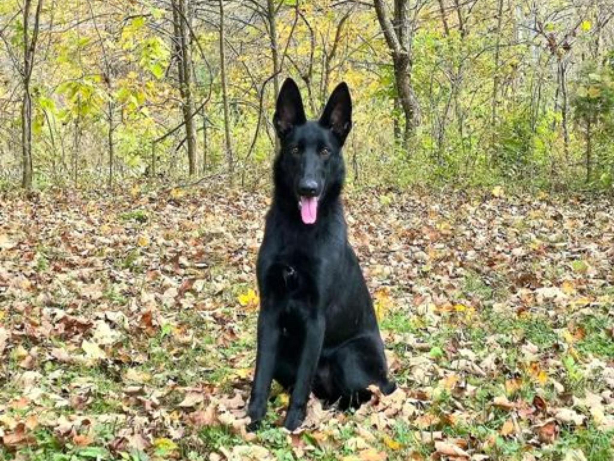 Nona von Prufenpuden