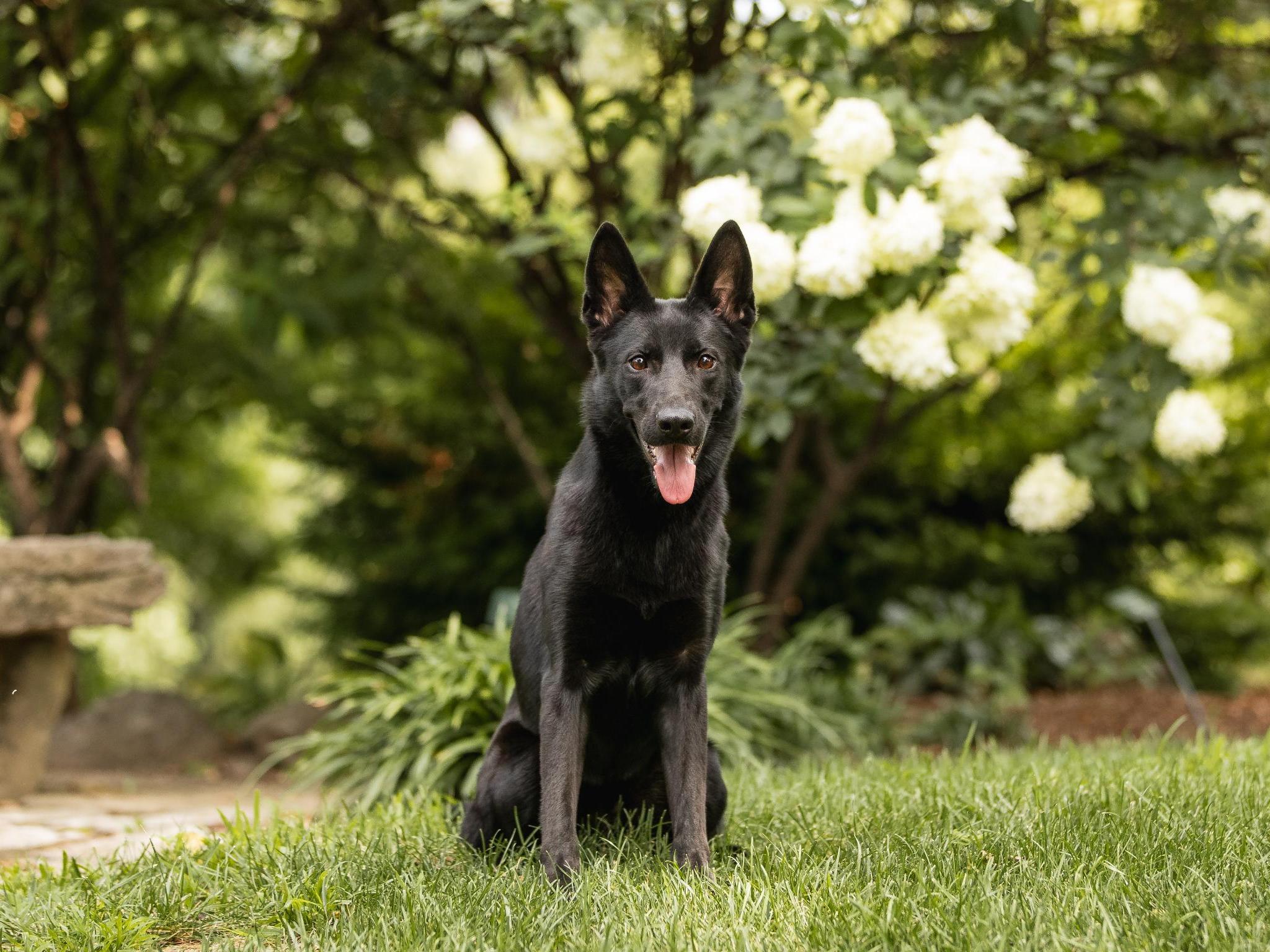 Darby von Prufenpuden
